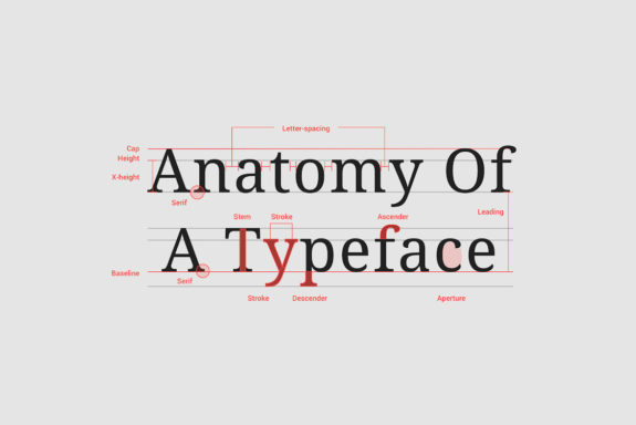 Choosing the right fronts for your website