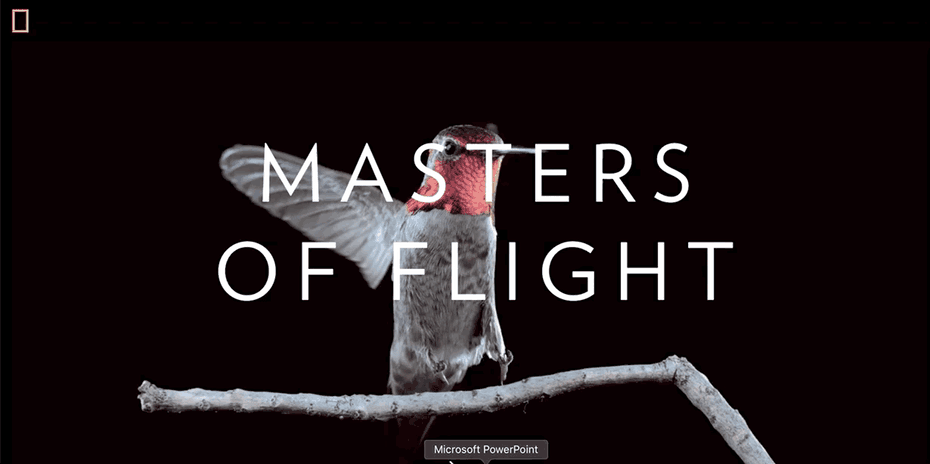 flight